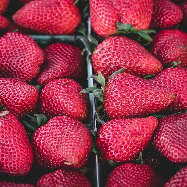 Organic Skincare Bundle
