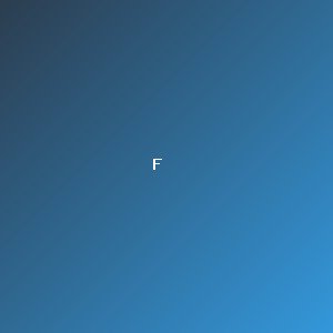 Forever Focus Photography